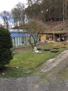 Biologisches Gemüse und Salat wird im Garten der Casa Medica angebaut und ergänzt die Wirkung der Quellwasser-Dauerbrause.